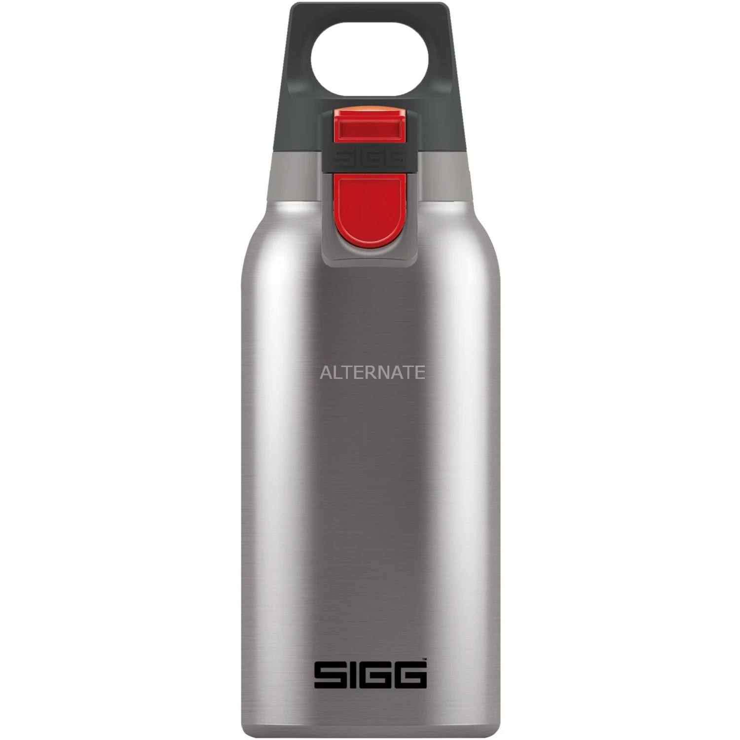 Am billigsten 🎉 Trinkflaschen SIGG Hot & Cold One Brushed 0,3 Liter, Thermosflasche (edelstahl) 🤩 3 Am billigsten 🎉 Trinkflaschen SIGG Hot & Cold One Brushed 0,3 Liter, Thermosflasche (edelstahl) 🤩
