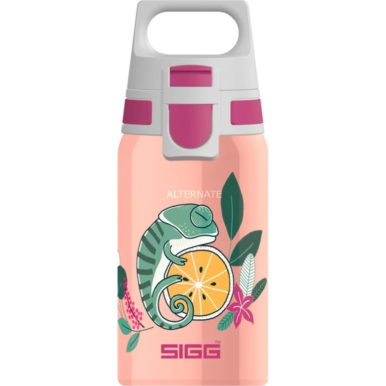 Angebote 🌟 Trinkflaschen SIGG Trinkflasche Shield One Flora 0,5L (pink) 👍 3 Angebote 🌟 Trinkflaschen SIGG Trinkflasche Shield One Flora 0,5L (pink) 👍